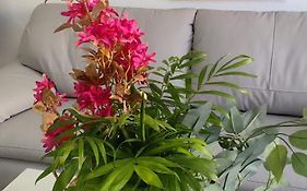 Apartamento Pueblo Quinta